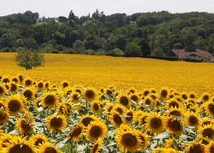 Alojamento de Acomodação e Pequeno-almoço The Retreat @ Le Grand Bois 4*